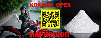 стаф Ливны