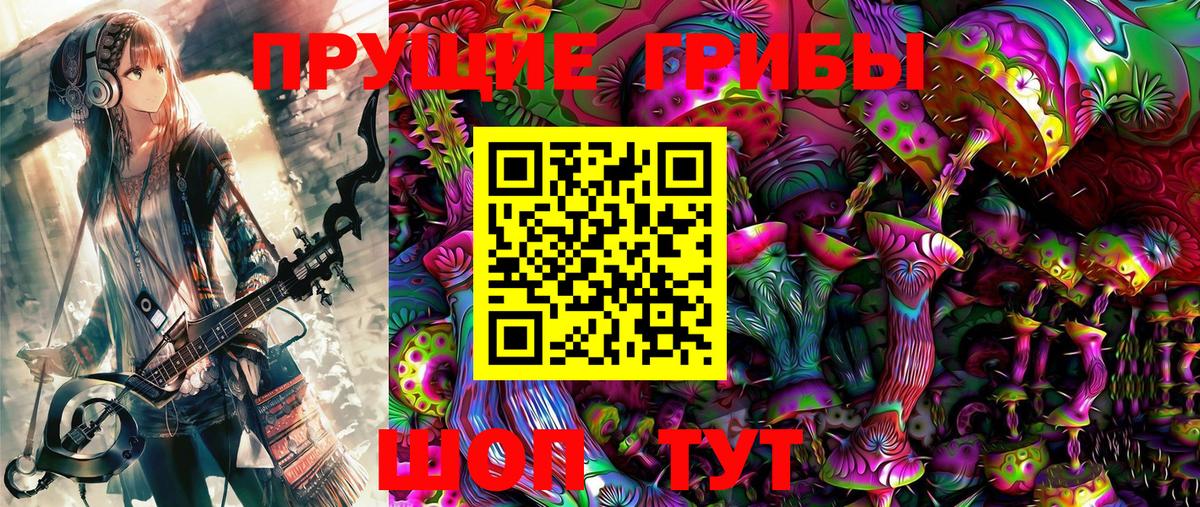Псилоцибиновые грибы Psilocybe  Вход с VPN  Долгопрудный 