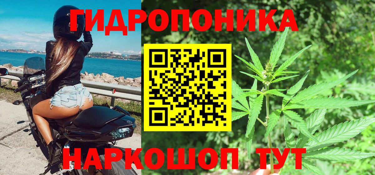 Шишки марихуана конопля Долгопрудный